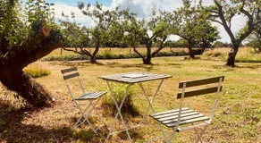 Apple Orchard Shepherd Huts - Image 3