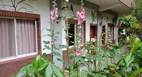 Yi Jia Yuan Homestay - Image 4