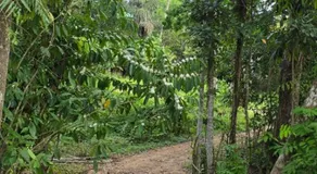 K12 Villa Meeruppa - Image 4