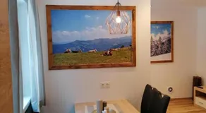 Appartement Holaus - Image 4