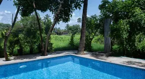 Lotus Feet Cottages, 100 Odd Meters from Morjim Beach - Image 4