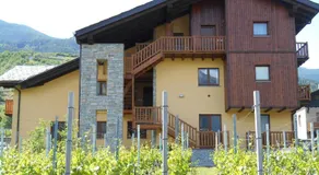 La Vigne de Papagran - Image 2