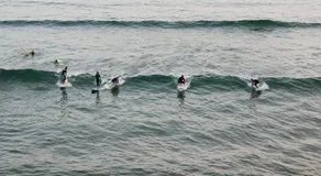 Afer Surf Hostel - Image 5