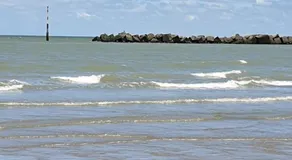 appartement malo les bains plage - Image 4