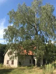 Wiejski dom z pasieka - Image 2