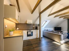 Villa near Prkenny Dul with Sauna - Image 3