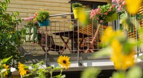 Bed and Breakfast Oase im Seetal - Image 4