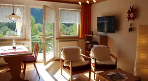 Steiert Panorama Apartments Todtnau - Image 2