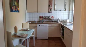 Wiesenglück in direkter Nähe zum Krankenhaus - Image 4