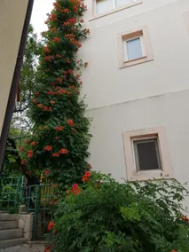Apartment Durda1 C3 Igrane, Riviera Makarska - Image 2