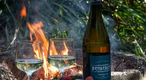 WA Wilderness Camping Experience - Image 2