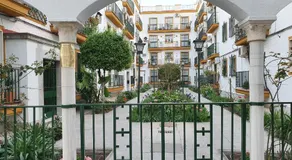 NOOL Sevilla - Image 5