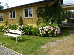 Blossom Cottage - Image 3