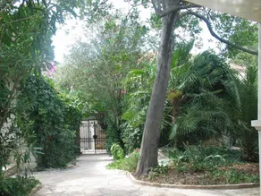 Holiday house Davor Sutivan, Island Brac - Image 5