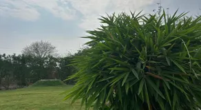 Chaudhari Farms & Agrotourism - Image 4