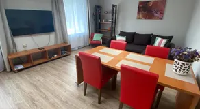 Family or Group Apartment in Silent Center - Image 2