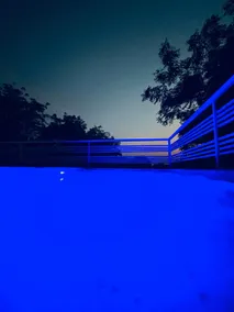 The Forest Creek 2.5 BHK Villa with Plunge pool - Image 3