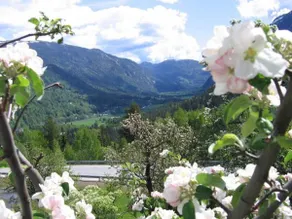Nutheim Gjestgiveri - Image 3