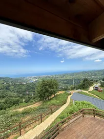 Elit Bungalov - Image 2