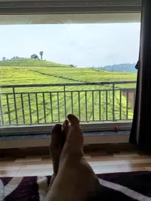 Tea Estate view Resort - Image 4