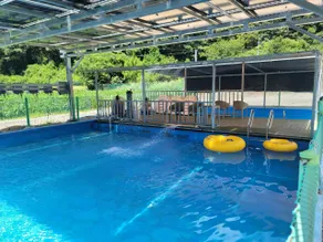 Cheongdo Farm Story Camping Site - Image 4