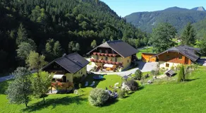 Bio-Bauernhof Vordergrubenbach - Familie Oberascher - Image 5