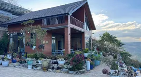 Sen Đá Home - Image 4