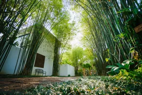Mango Tree Resort - Image 5
