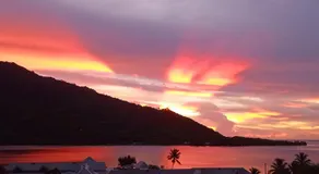 Tropical Cruise Cook's Bay Paopao Moorea - Image 2