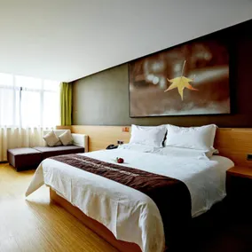 IU Hotel Zhengzhou Erqi Wanda Plaza Daxue Road Branch - Image 2