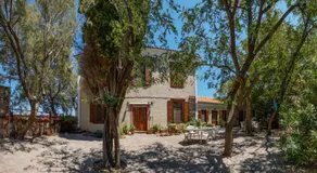 Lela Kaptani Eftalou Olive Grove - Image 4