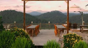 DaLart Glamping & Coffee - Image 5