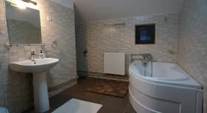 Casa Paltinu - Image 2