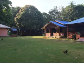Salang Pusaka Resort Pulau Tioman - Image 3