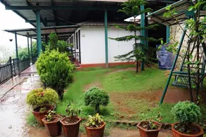 Rainforest Restaurant &Villa's - Image 2