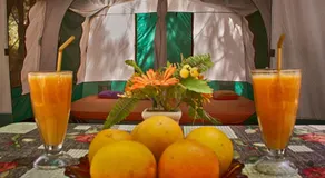 Camping Nopigia - Image 2