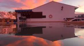 El Oasis Morado - Image 3