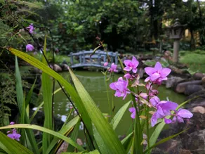 Ciel Homestay - Image 5