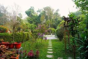 Saveda Villa Vireya By SpicyMango - Image 5