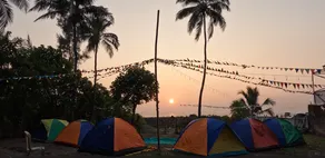 Travel Moody Beach Camping and Caravan Parking - Image 3
