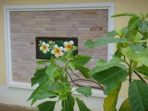 Nam Khong Tara Resort - Image 5