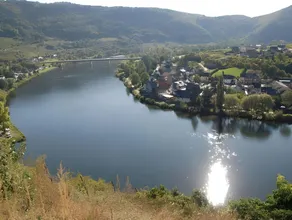 Ferienweingut-Liebfried - Image 4