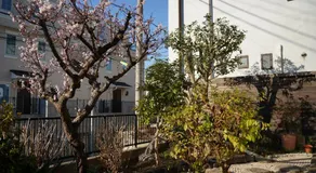 Shimokitazawa Akima - Image 4