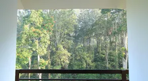Aditi - Image 3