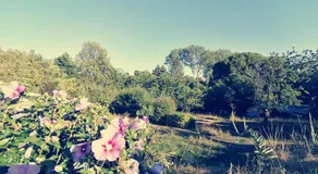 Omnia - Image 4