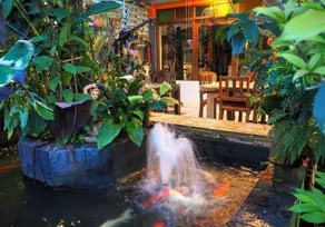 Maesai Orchid Hotel - Image 5