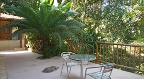 Pitanga Ilha Grande - Image 4