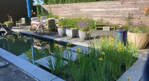 B&B Koornemoezen - Image 3