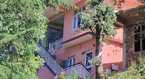 Tree Valley Homestay Chail - Image 4
