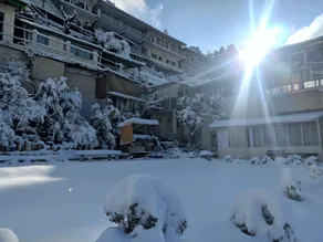 Prashant Homestay Nainital: Orchard - Image 5